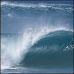 Ahead of the Wave ...